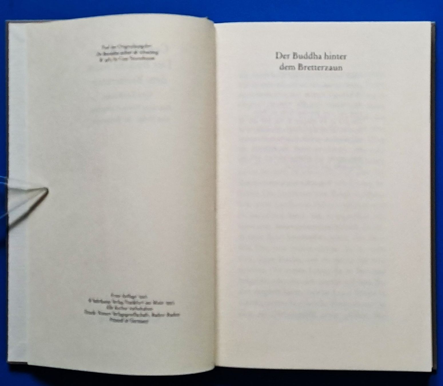 Libri: Cees Nooteboom: Der Buddha hinter dem Bretterzaun. EA BS – Usato da Zürich venduto da archiphil 3