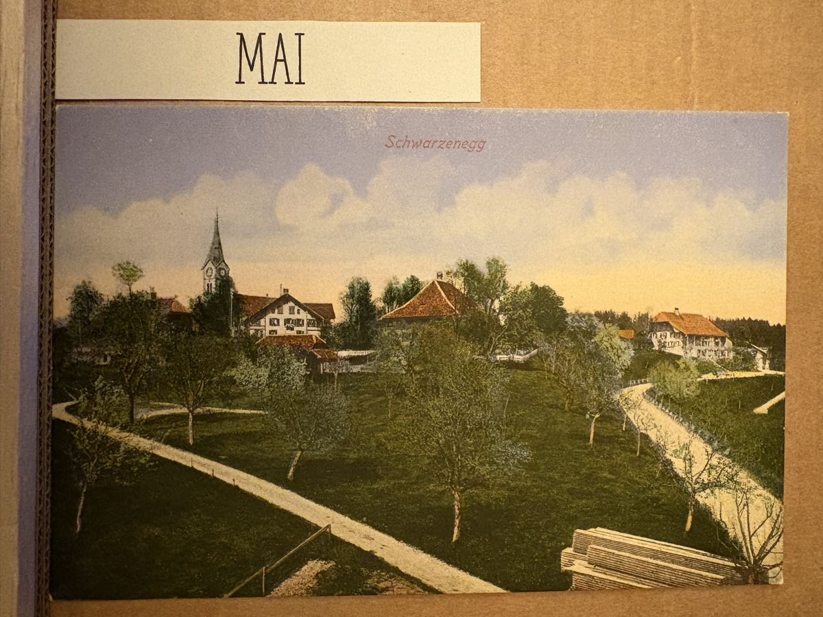 Cartoline postali: AK von Schwarzenegg – Usato da Rümlang venduto da Kartenpost1