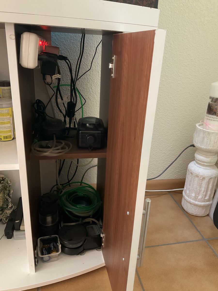Juwel Acquari: Aquarium Juwel Vision 180 L – Usato da Biberist venduto da duarte09 3