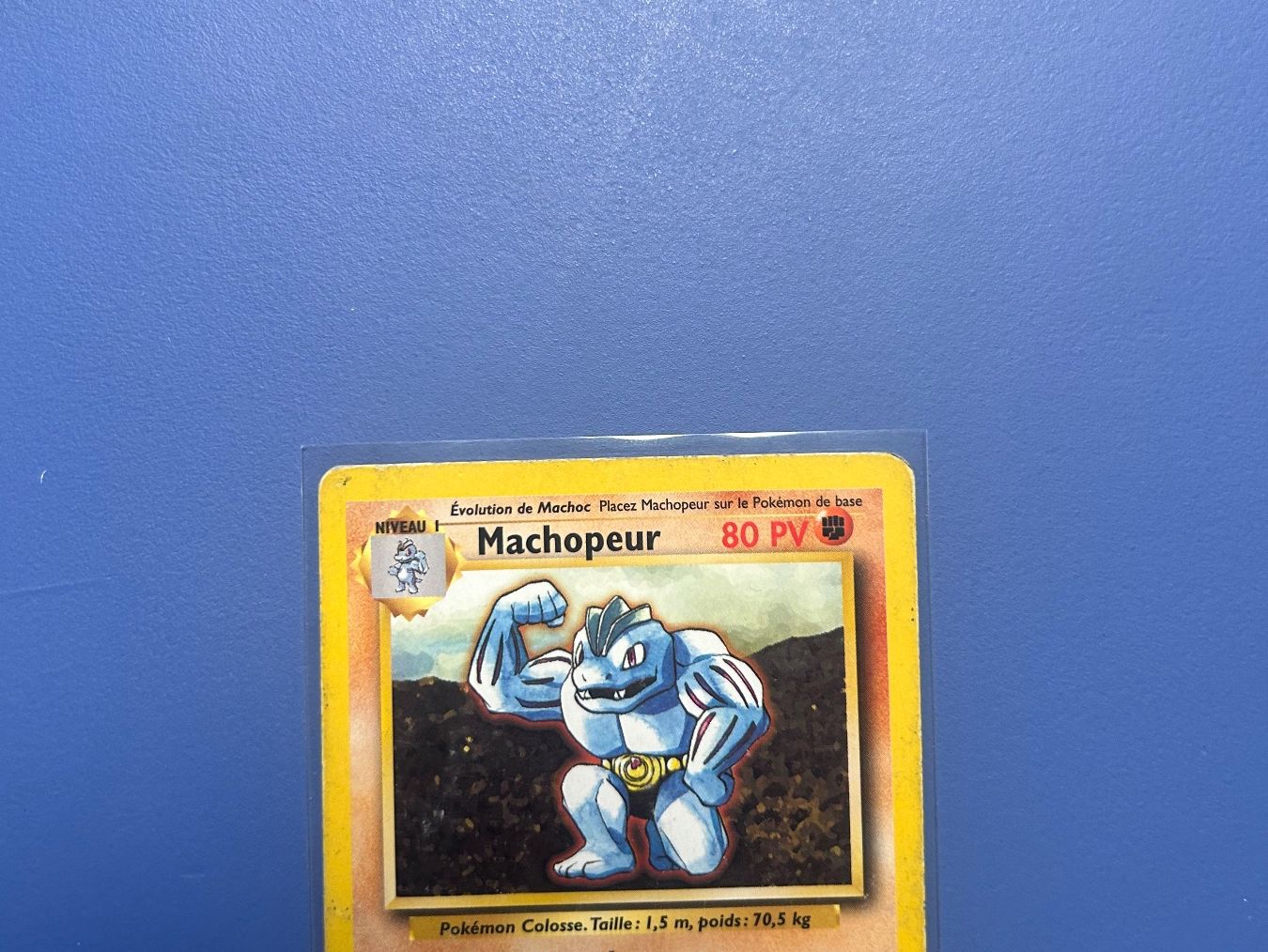 Pokémon Carte collezionabili: Pokémon Machopeur 34/102 Set de base FR – Usato da Schlieren venduto da happymerchant64 2