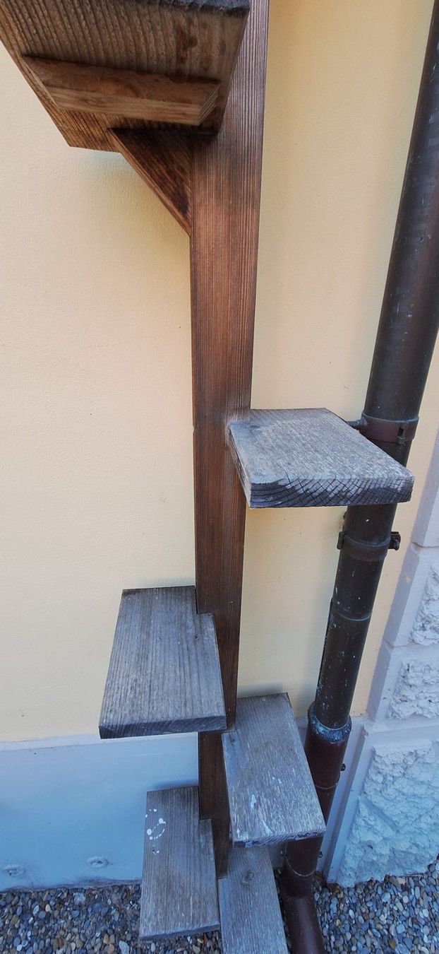 Scale: Katzenleiter 5,2 m hoch – Usato da Richterswil venduto da Rengg1 3