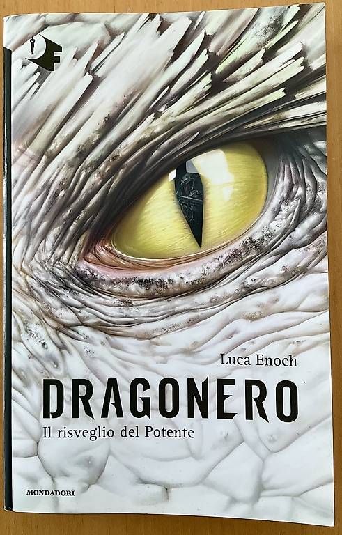 Libri: Libro fantasy "Dragonero: Il risveglio del Potente" – Usato da Gordola venduto da lar_x2p9