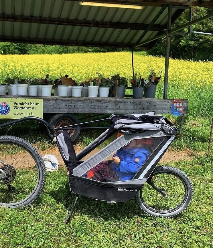 Tout Terrain Rimorchi: Gefederter Bike-Kinderanhänger – Usato da Horgen venduto da BondZH 1