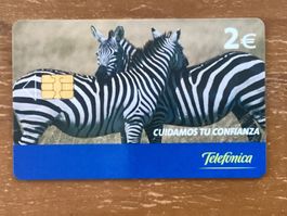 Privat Telefonkarte Spanien. Zebras