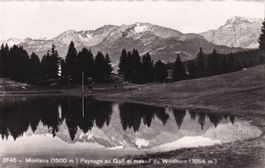 Montana Paysage au Golf et Massif du Wildhorn