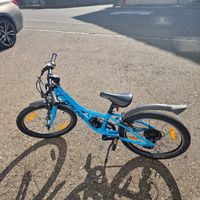 Kinderfahrrad Naloo Chameleon 20 Zoll guter zustand