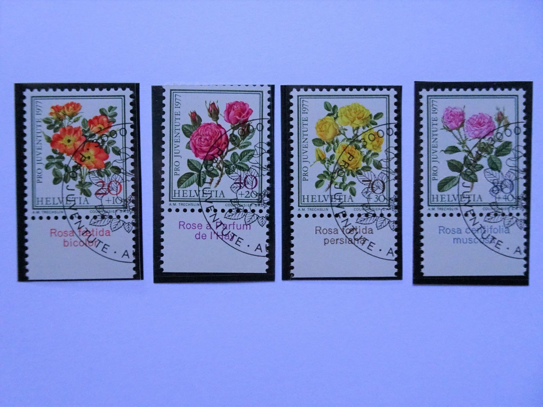 Tous les timbres: PJ 1977 – Neuf (Voir description) à Aadorf par Chnorli-Furz