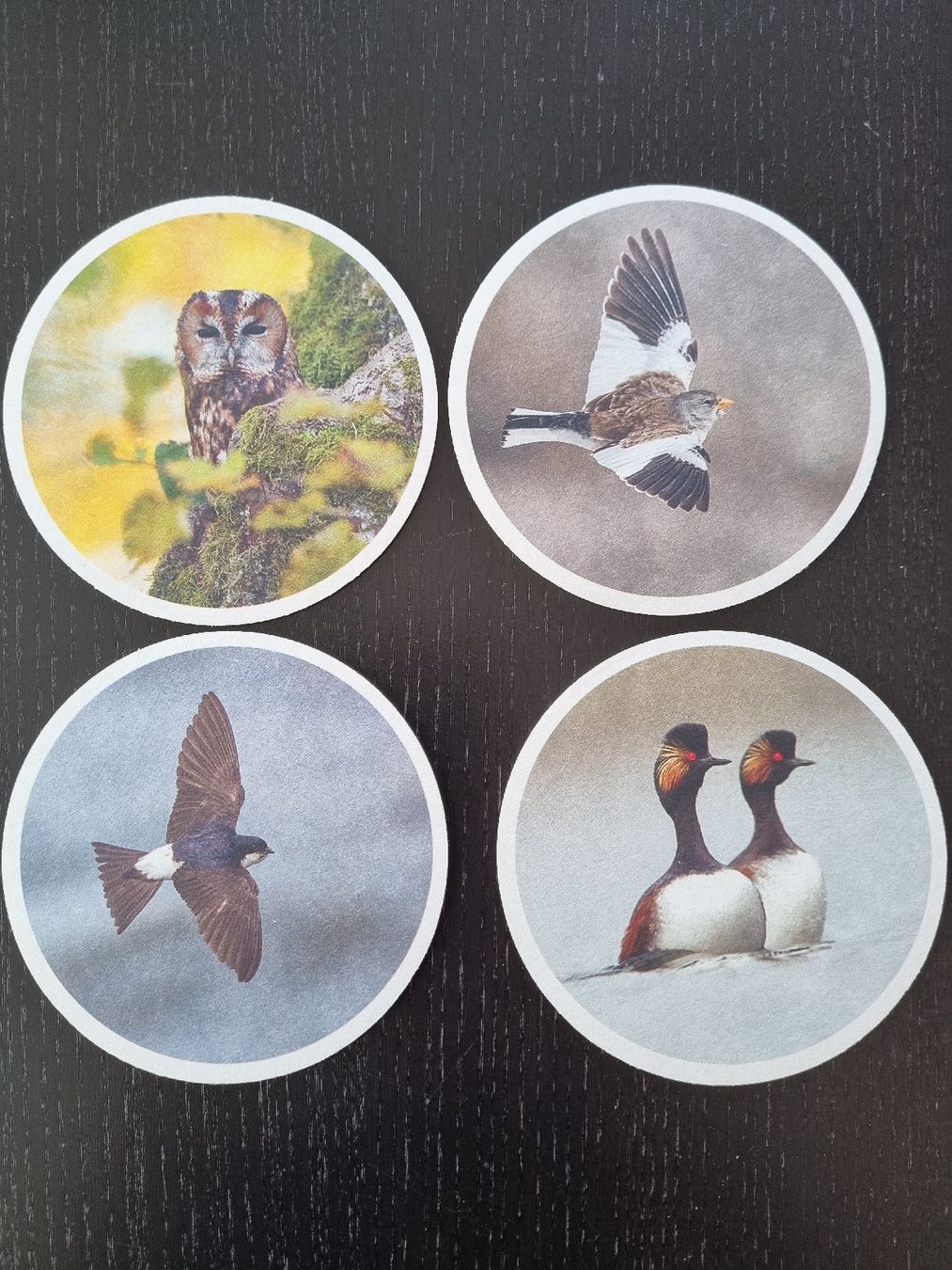 Untersetzer: 4 Stück Vogelwarte Glas- Untersetzer, Neu – Neu und originalverpackt aus Nottwil von Janny77