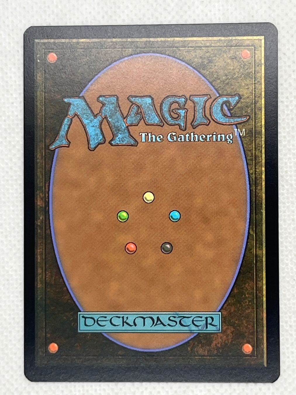 Magic The Gathering Carte collezionabili: Magic The Gathering Tidepool Turtle DMU 069/281 C – Usato da Hinterkappelen venduto da Kim1992 1