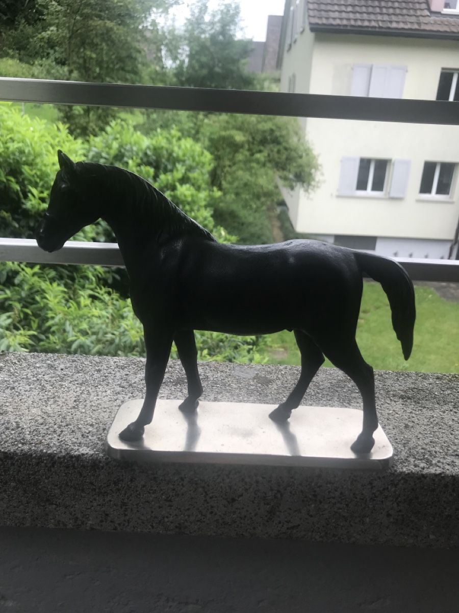 Sculture & Statue: Pferd Gusseisen Skulptur – Usato da Niederscherli venduto da ija_y67c 1