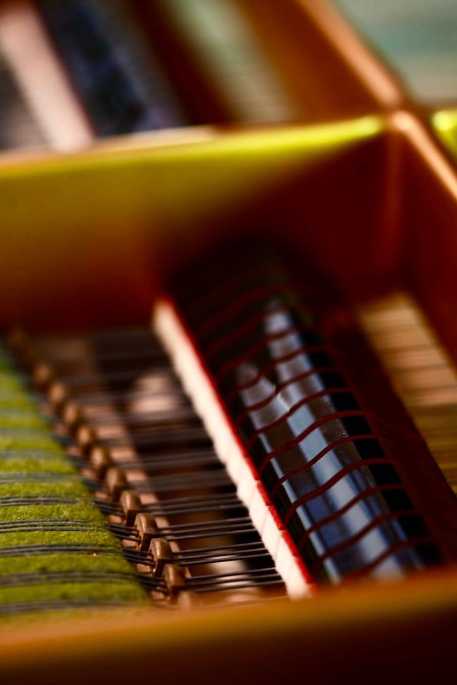 Instruments de musique: Flügel C.Bechstein B-203 – D'occasion à Spiez par eni_lvq7 5