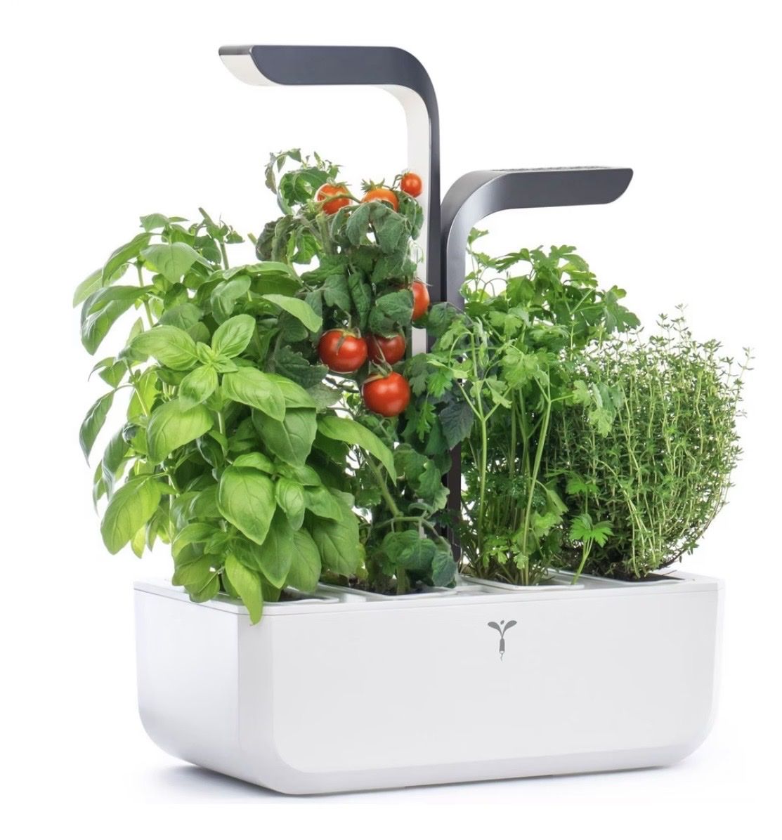 Box contenitori: Veritable, 4 Fach, Weiss – Usato da Madetswil venduto da slougan88