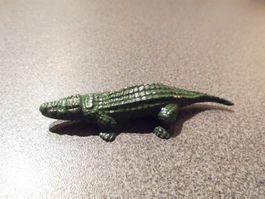 Krokodil grün