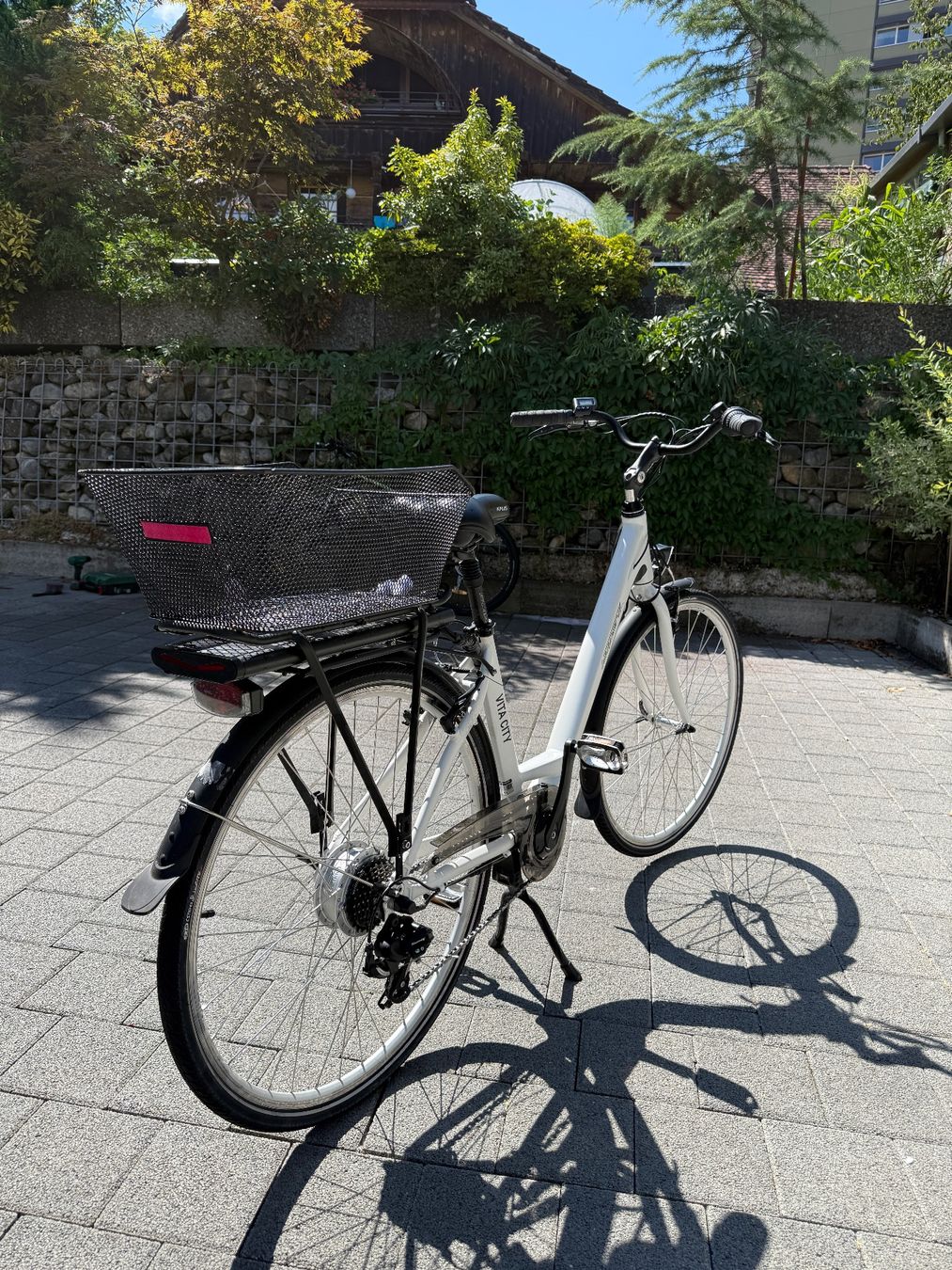 Leopard Biciclette: Leopard E-bike – Usato da Belp venduto da den_h9tg 3