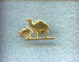 CAMEL