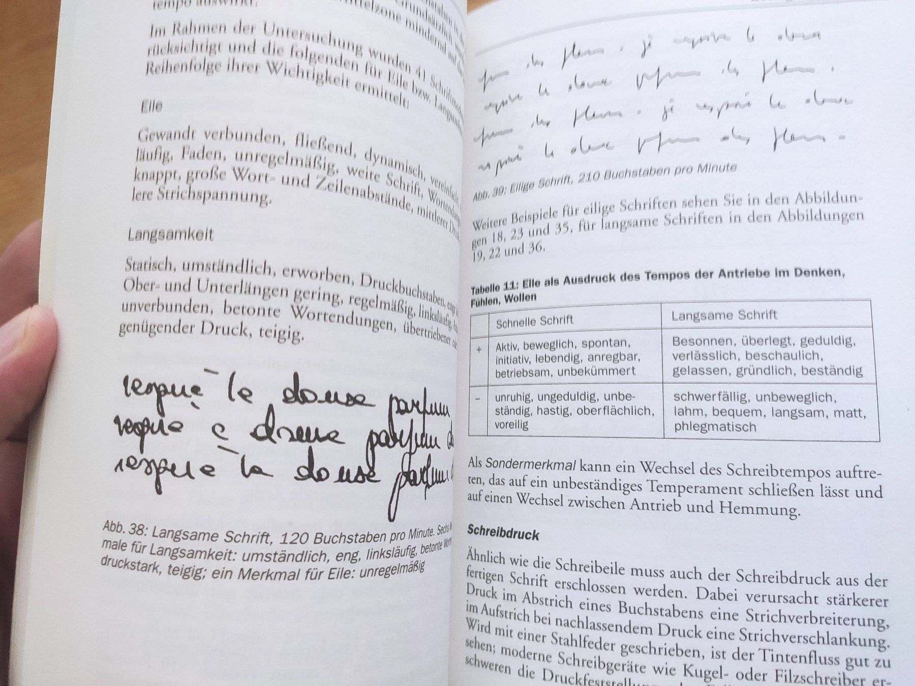 Libri: Handschriften deuten, Helmut Ploog, 1999 – Usato da Zürich venduto da typish 2