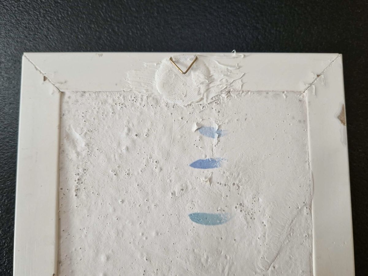Foto & Immagini: Botanisches Gipsrelief, 14x19cm – Nuovo (secondo la descrizione) da Hittnau venduto da Katzenherz 3