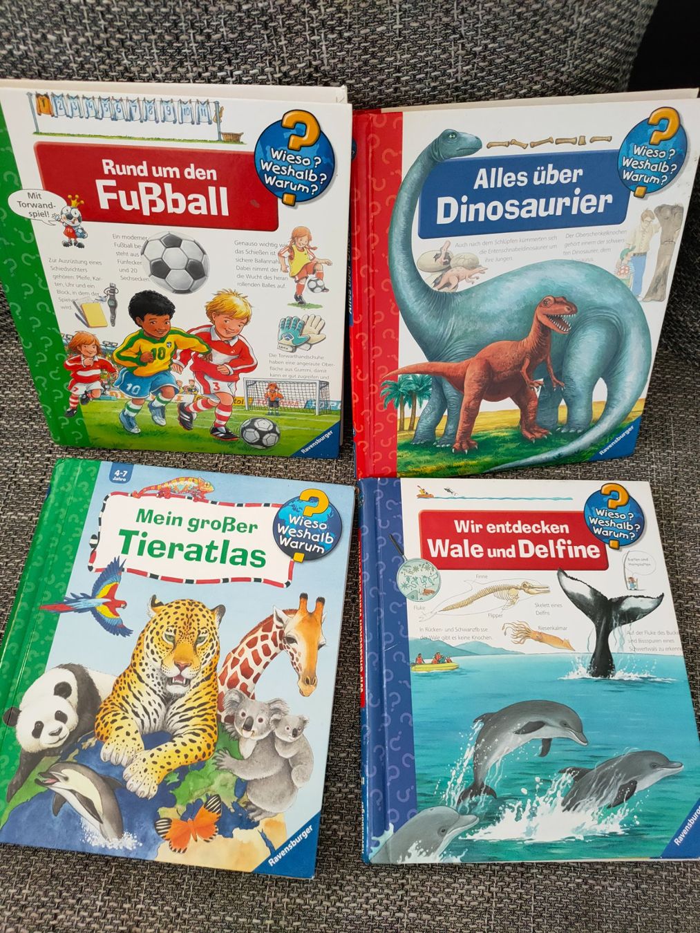Livres: Wieso Weshalb Warum – D'occasion à Jona par Sydney304