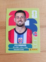Panini WM 2026 NOR 17