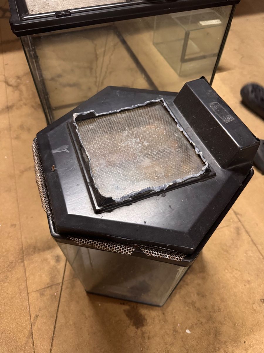 Terrario: Glassterrarium – Difettoso da Wil ZH venduto da chillyhunter 1
