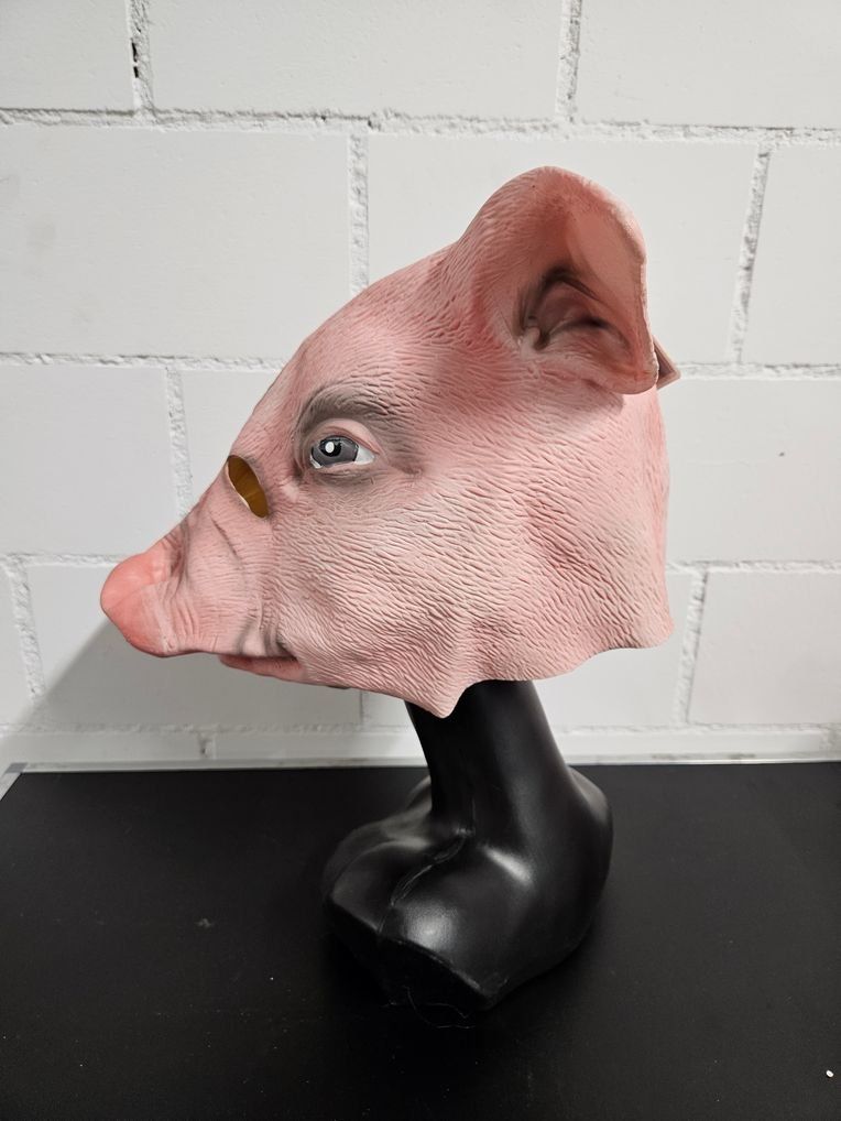 Masken: Neu - Maske - Schwein – Neu und originalverpackt aus Dagmersellen von Jarsetz_Restposten 1