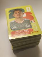 187 Panini, keine doppelt