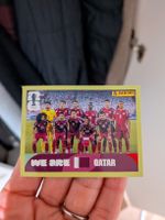 Panini Bild QAT 13