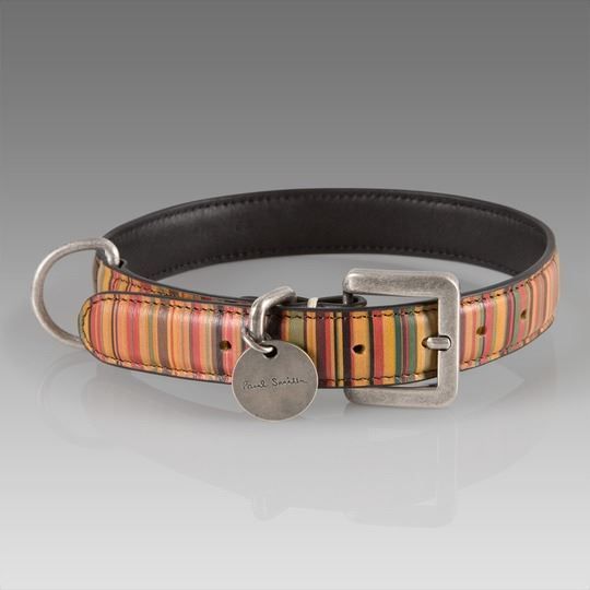 Paul smith best sale dog collar