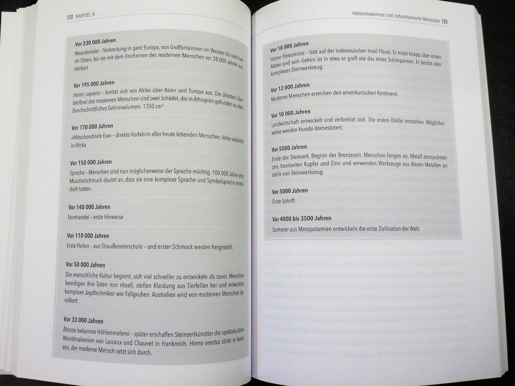 Libri: J. Clement: DER GESUNDE SCHALTER – Usato da Jegenstorf venduto da ladoga66 5