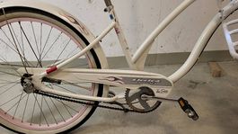Beach Cruiser
