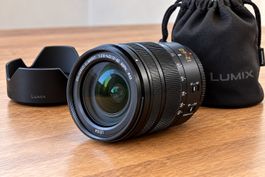 Panasonic Lumix Leica DG Vario-Elmarit 12–60 mm f/2.8–4.0