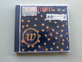 (p) CD THE WALLFLOWERS: Bringing down the horse, 1996