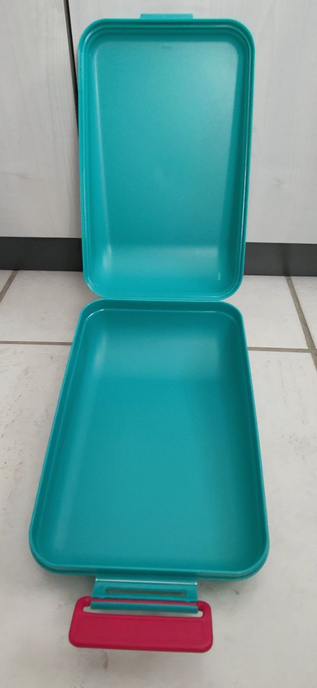 Tupperware Contenitori & Simili: Tupperware Snackbox !!!!!! – Usato da Flaach venduto da Lonzo99 1