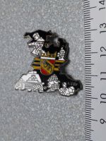 PIN PINS POLIZEI POLICE POLIZIA