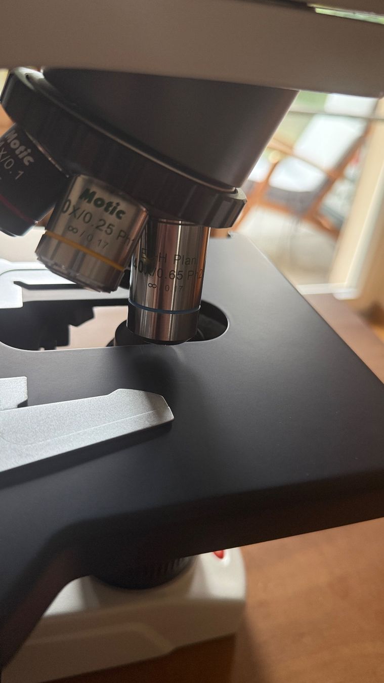 Microscopi: Mikroskop Motic BA-310E Elite Trinocular Microscope – Nuovo (secondo la descrizione) da Basel venduto da 7oclock 5