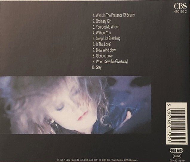 CD: Alison Moyet – Raindancing – Usato da Grüningen venduto da azulverde 1