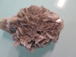 Gips Rose von Amsdorf ca. 80 gr.