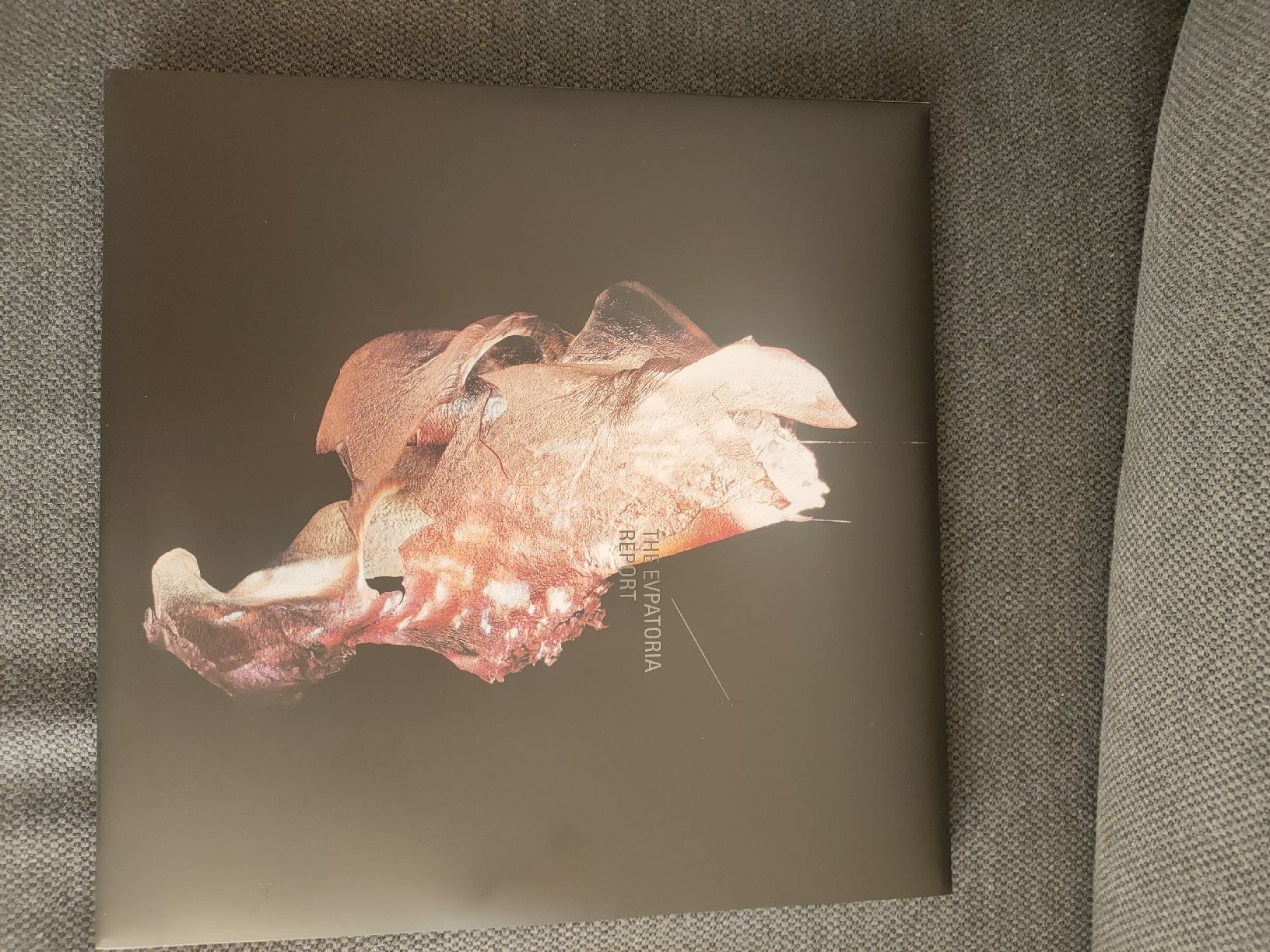 Dischi in vinile: evpatoria Report golevka double lp – Nuovo e nell'imballaggio originale da Bremgarten AG venduto da BenjaB
