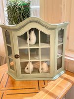Vitrine Holz Pastellgrün mit Glastüren FRANCE