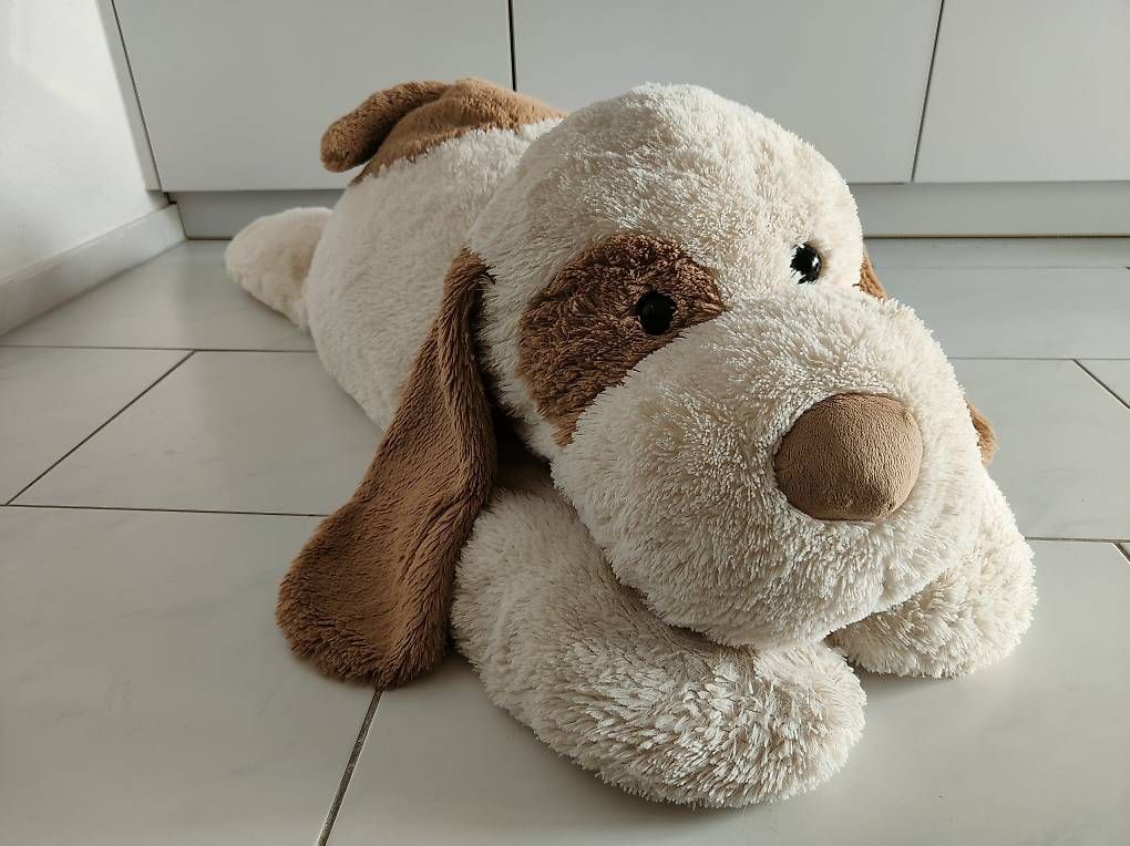 Giocattoli: Grosser Plüschhund ca. 1,20m – Usato da Kaltbrunn venduto da AliToni