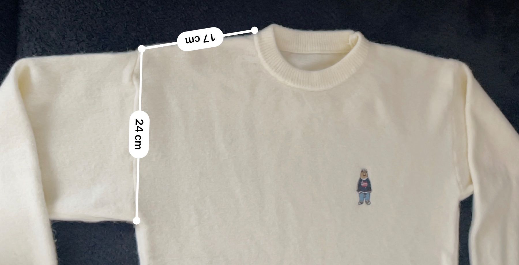 Maglioni & Felpe: Pullover mit Bärli-Motiv, Creme, Gr L, neu – Nuovo e nell'imballaggio originale da Wangen b. Olten venduto da VeraHa 3