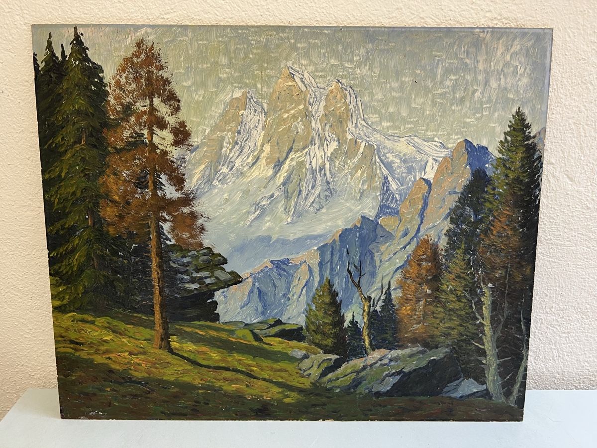 Gemälde: Berglandschaft Gemälde Anonimus – Gebraucht aus Hombrechtikon von vespa1954