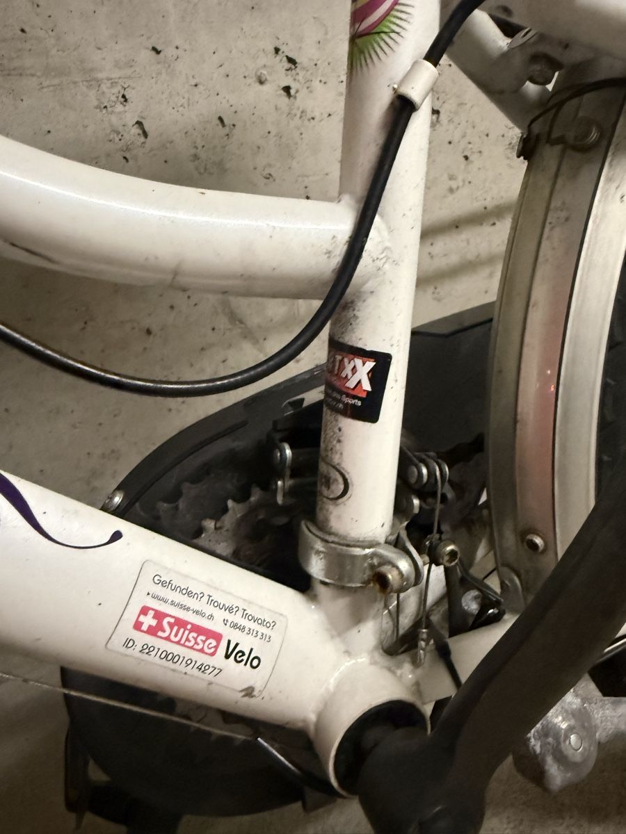 Biciclette: Kinder Fahrrad 24” – Usato da Steinmaur venduto da Bal-Rajmi1 2