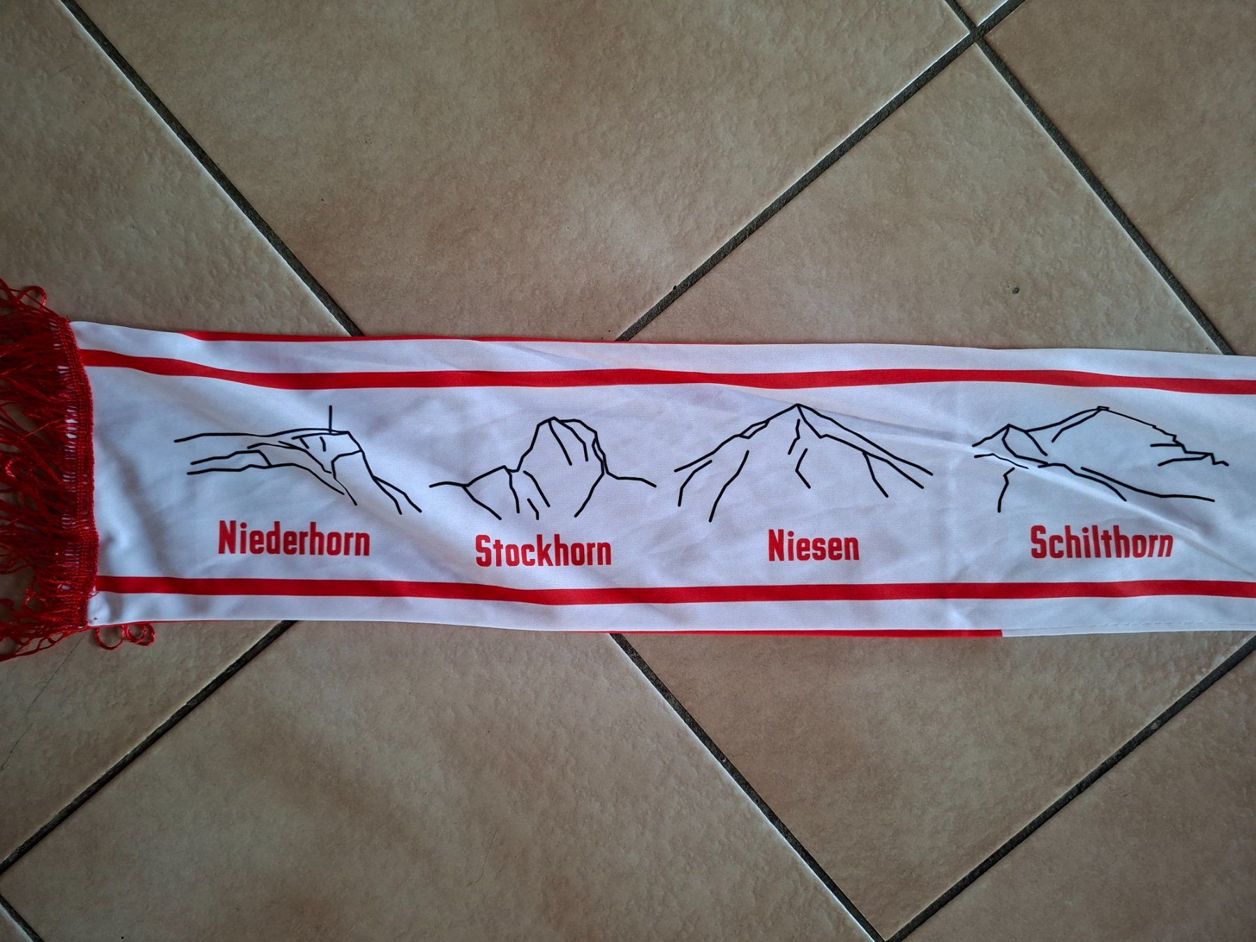 FC Thun Foulard & Sciarpe: FC Thun Fan Schal – Usato da Schwanden Sigrisw venduto da cadieux71 3
