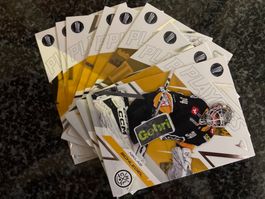 Sportzoo Base Playoffserie Lugano (9/9)