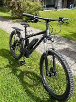UNIVEGA Renegade E-MTB Fully, 2019, Top Zustand für Trails!
