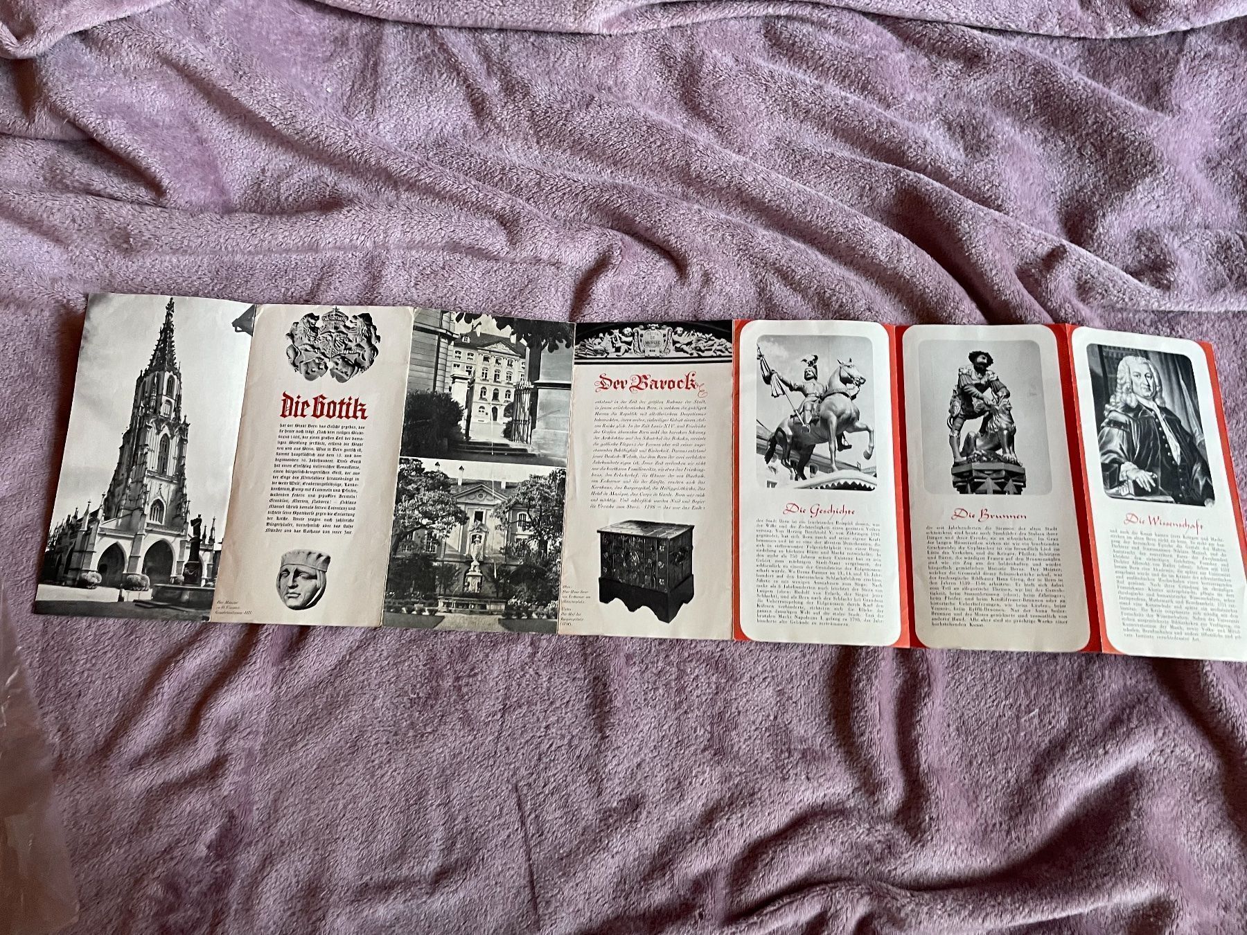 Documenti: Bern Flyer – Usato da Bern venduto da Dafi7 2