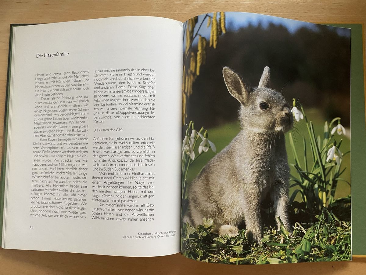 Libri: Ich bin ein Hase - Ursula Dolder – Usato da Schwarzenburg venduto da Michellu 8