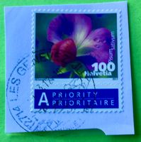 Nr.1377 Dauermarken Gemüseblüten 2011 mit Stempelt Kiefelerb