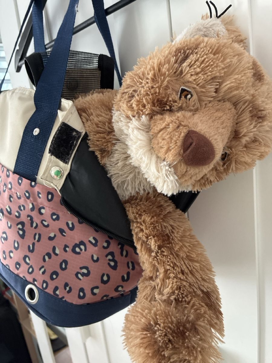 Sacs: Cat or dog carrier  – D'occasion à Walenstadt par bedina92 1